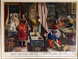 Vorbereitung und Verwendung von Guayaco zur Behandlung von Syphilis, graviert von Philip Galle (1537-1612) ca. 1570